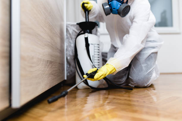 Best Affordable Pest Control Services  in Superior, NE