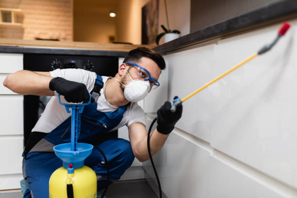 Best Termite Control Services  in Superior, NE