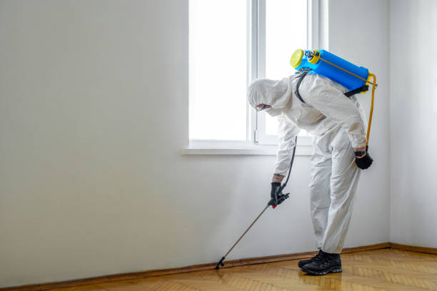 Best Emergency Pest Control  in Superior, NE