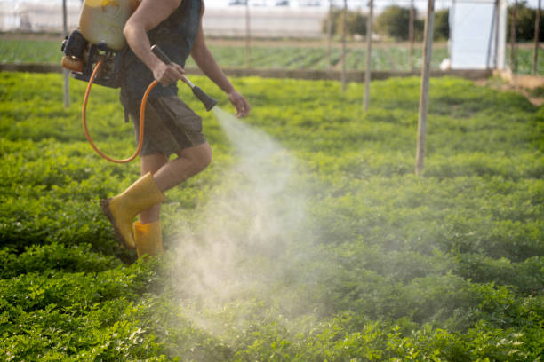 Best Local Pest Control Services  in Superior, NE
