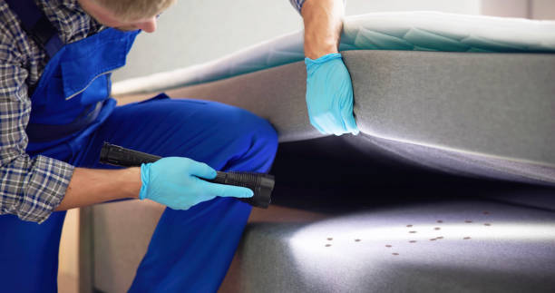 Best Termite Control Services  in Superior, NE