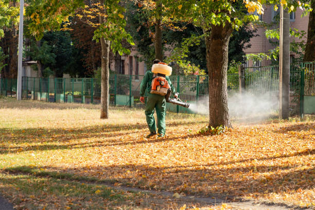 Flea Control Services in Superior, NE