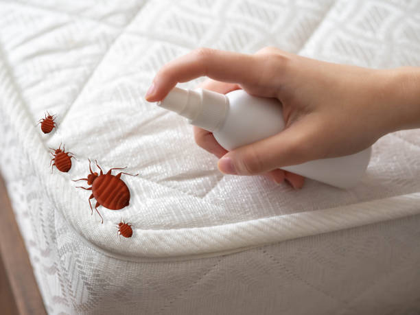 Best Wasp Removal Services  in Superior, NE