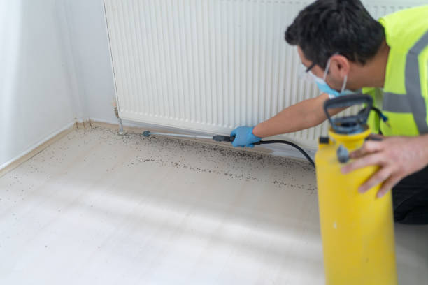 Best Residential Pest Control  in Superior, NE
