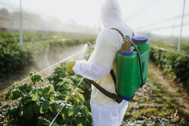 Best Bed Bug Extermination  in Superior, NE